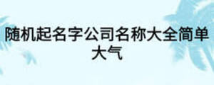随机起名字公司名称大全简单大气
