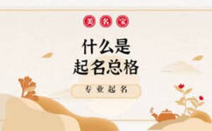 什么是起名总格