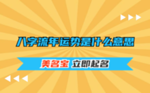 八字流年运势是什么意思