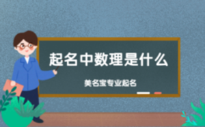 起名中数理是什么