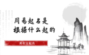 /nameask/5595.html