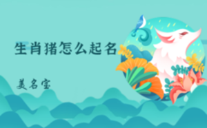 生肖猪怎么起名