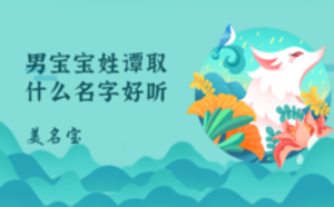男宝宝姓谭取什么名字好听