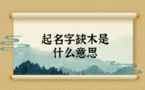 /nameask/5911.html