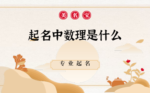 /nameask/5916.html