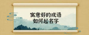 寓意好的成语如何起名字