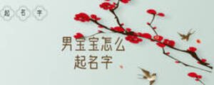 男宝宝怎么起名字