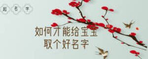 如何才能给宝宝取个好名字