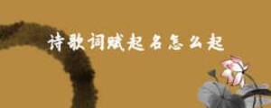 /nameask/5797.html