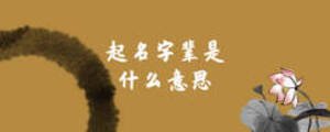 /nameask/5868.html