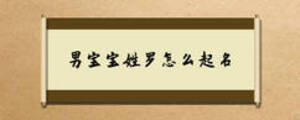 男宝宝姓罗怎么起名