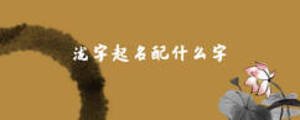 /nameask/5910.html