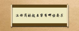 /nameask/6738.html