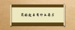 /nameask/6740.html