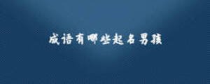成语有哪些起名男孩
