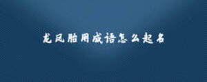 龙凤胎用成语怎么起名