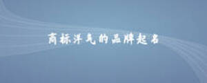 商标洋气的品牌起名