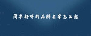 简单好听的品牌名字怎么起