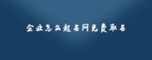 企业怎么起名网免费取名