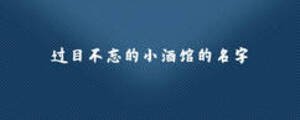 过目不忘的小酒馆的名字