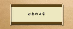 姓杨的名字