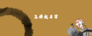 怎样起名字