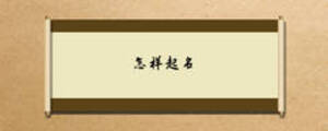 怎样起名