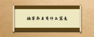 /nameask/7380.html