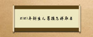 2020年新生儿男孩怎样取名