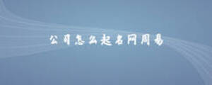 公司怎么起名网周易