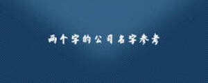 两个字的公司名字参考
