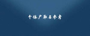 个体户取名参考
