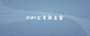 2020公司取名字
