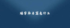 璠字取名寓意什么