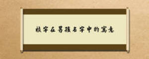 桢字在男孩名字中的寓意