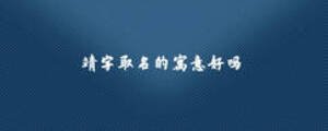 靖字取名的寓意好吗