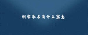 钶字取名有什么寓意