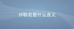 珅取名是什么含义