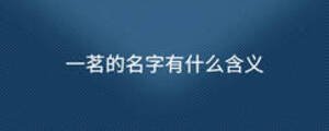 一茗的名字有什么含义