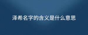 泽希名字的含义是什么意思