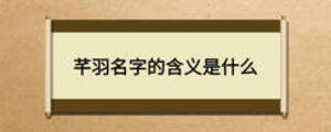 芊羽名字的含义是什么