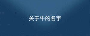 关于牛的名字