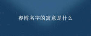睿博名字的寓意是什么