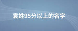 袁姓95分以上的名字