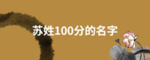 苏姓100分的名字