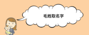 毛姓取名字