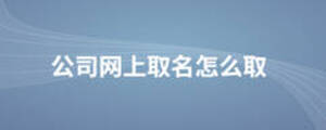 公司网上取名怎么取