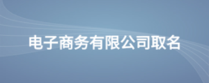 电子商务有限公司取名