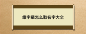维字辈怎么取名字大全