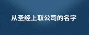 从圣经上取公司的名字